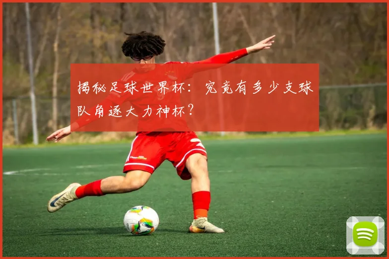 揭秘足球世界杯：究竟有多少支球队角逐大力神杯？