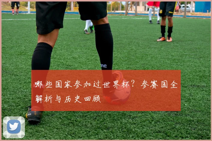 哪些国家参加过世界杯？参赛国全解析与历史回顾