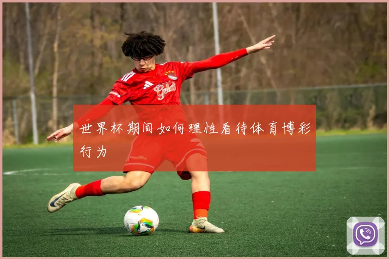 世界杯期间如何理性看待体育博彩行为