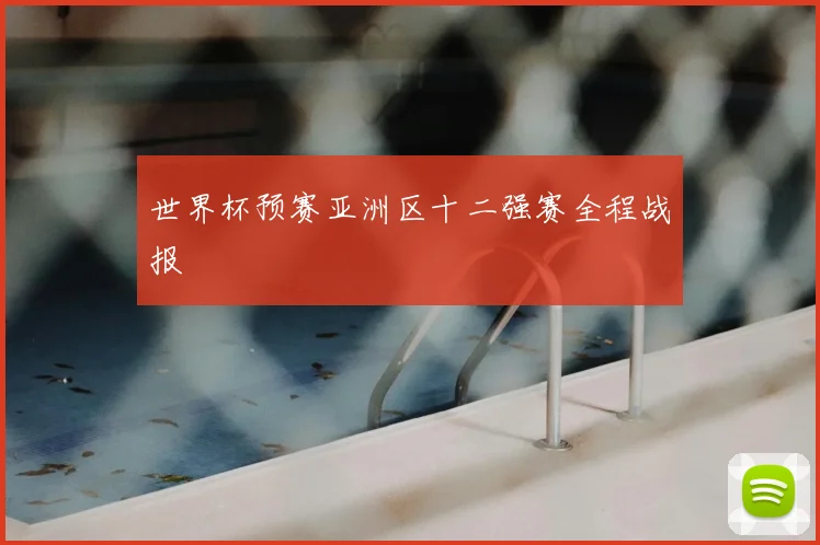 世界杯预赛亚洲区十二强赛全程战报