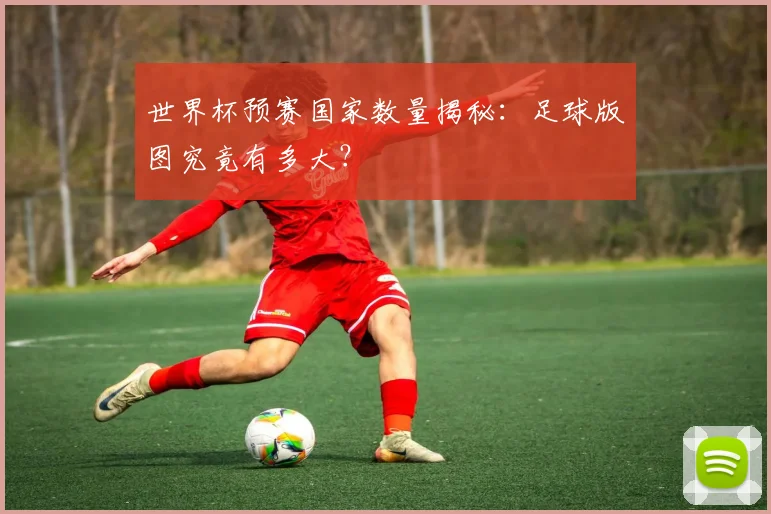世界杯预赛国家数量揭秘:足球版图究竟有多大?