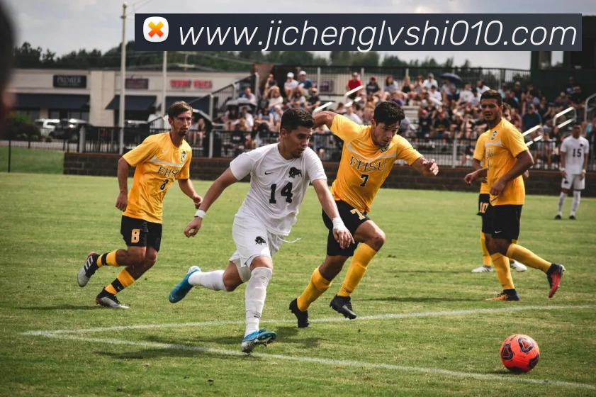App 展示图